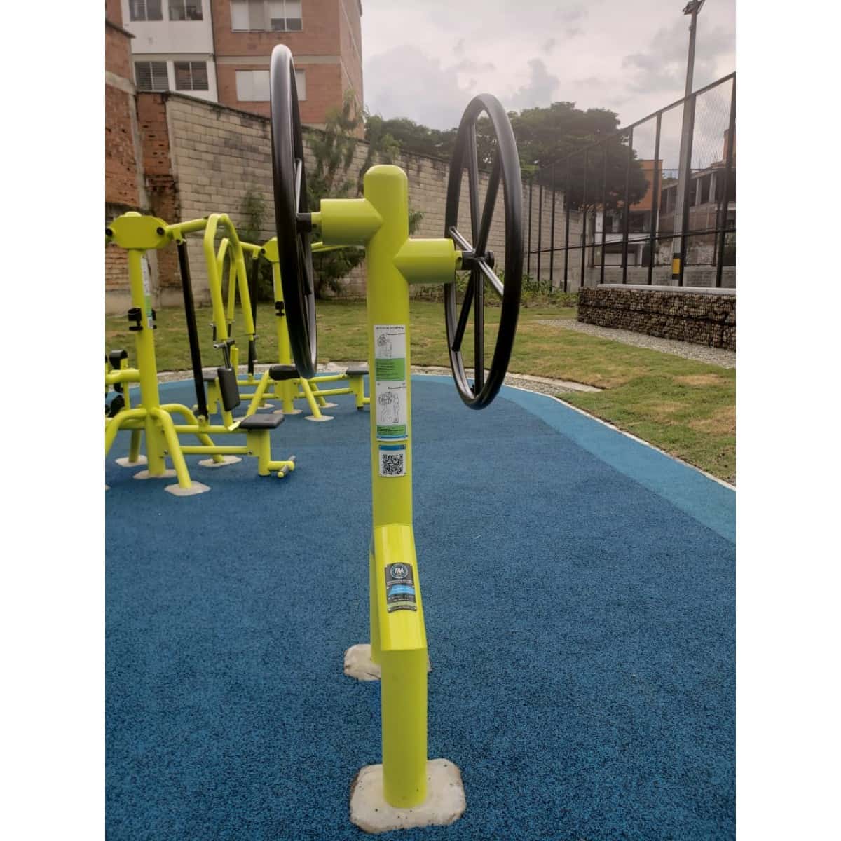 Rueda de hombros de TMGYM sobre piso azul en un parque, vista general