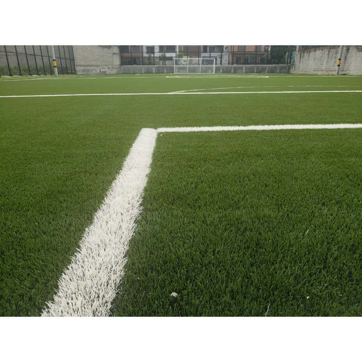 Cancha de fútbol con grama sintética y línea de demarcación