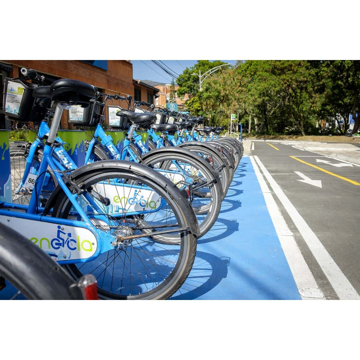 Bicicletas públicas azules estacionadas junto a una ciclorruta